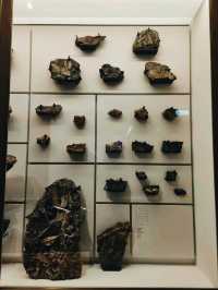 Explore National Taiwan Museum