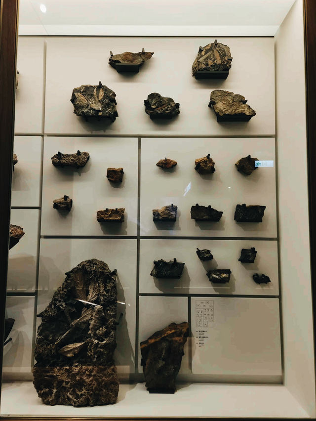 Explore National Taiwan Museum