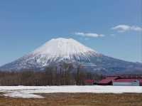Snow Paradise Found – My Magical Stay at Hilton Niseko Village