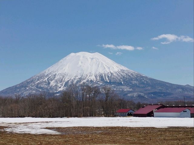 Snow Paradise Found – My Magical Stay at Hilton Niseko Village