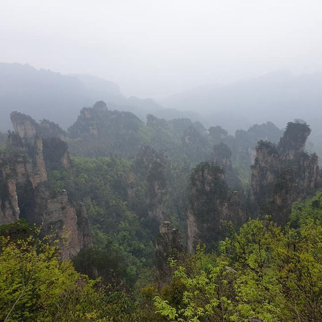 Zhangjiajie National Forest Park: A Natural Masterpiece