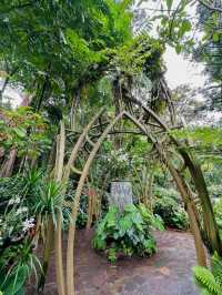A Gem in the Heart of Singapore: National Orchid Garden