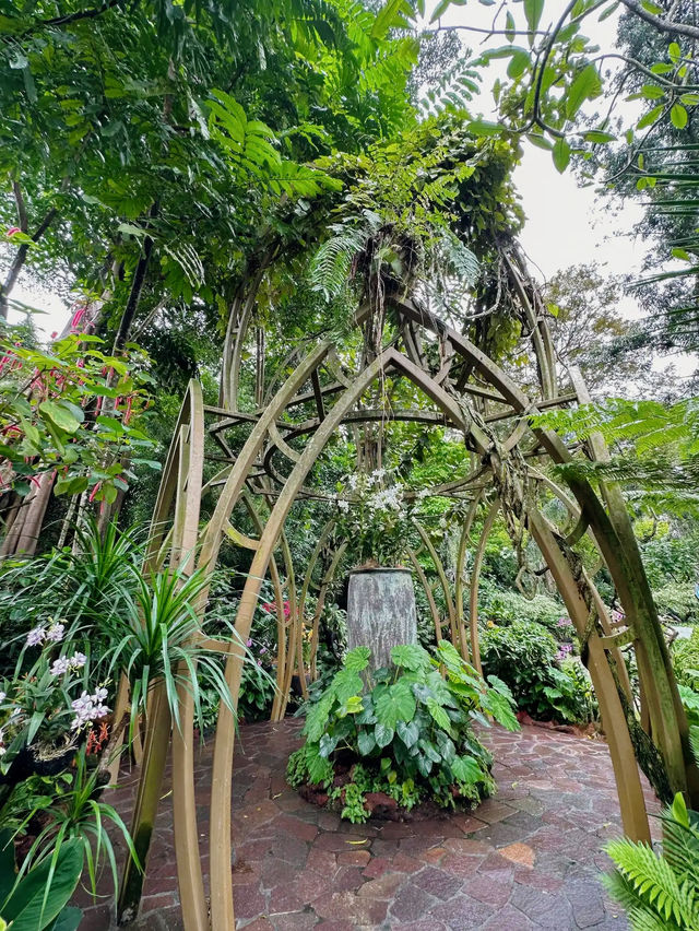 A Gem in the Heart of Singapore: National Orchid Garden