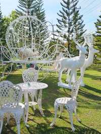 คาเฟ่  นครนายก