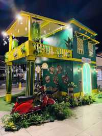 Day to Night Raya Transformation