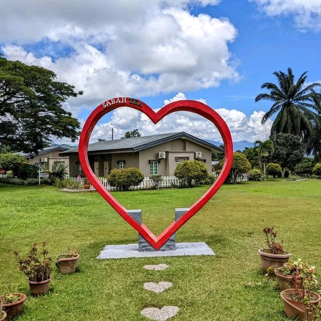 “Sabah Tea Resort:The Tranquil Heart of Borneo’s Tea Country”
