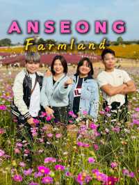 Picturesque Agricultural Theme Park