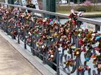 【マイン川を渡る名フォトスポット】鉄の橋（Eiserner Steg）🌉💑