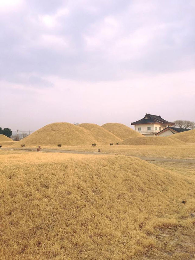 “Gyeongju in Bloom: Where History Meets Cherry Blossoms”