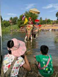 เก็บภาพมาฝาก ประเพณีเเห่ช้างบวชนาค