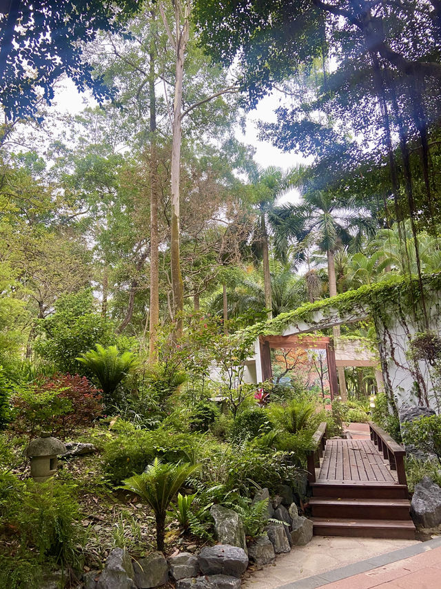 置身和式庭園🌷🦜體驗鳥語花香✨大埔海濱公園🏞️