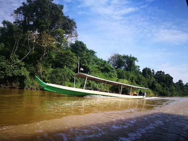 🌿🚤 Taman Negara River Cruise Review: A Jungle Adventure!