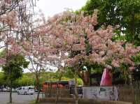 阿里山國家風景區-管理處暨觸口遊客中心