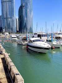 Busan Yacht Experience