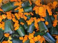 Laos Temple Beauty
