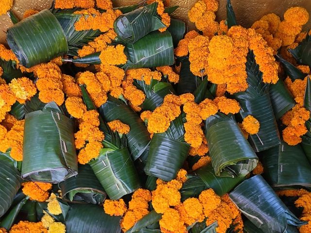 Laos Temple Beauty