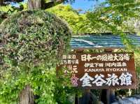 【静岡県 下田市】金谷旅館