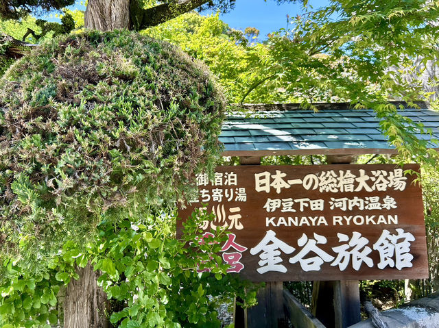 【静岡県 下田市】金谷旅館