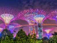 A Walk Through the Future: Exploring Gardens by the Bay, Singapore