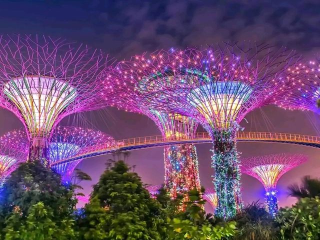 A Walk Through the Future: Exploring Gardens by the Bay, Singapore