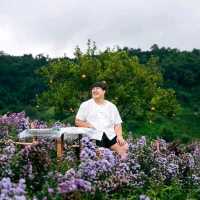 สวนดอกไม้ ป้างฮวา 🌺 l เชียงใหม่