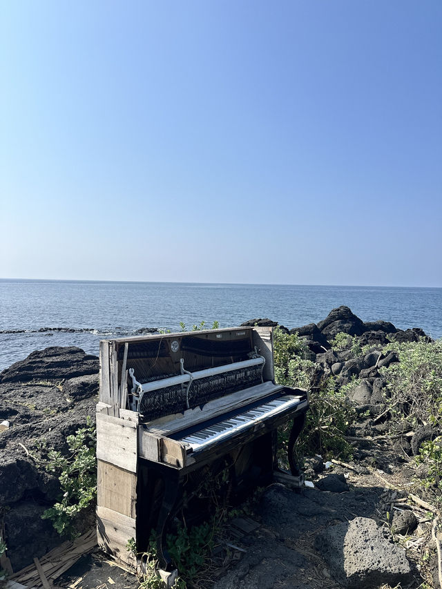 ☀️今個夏天來一個韓劇《苦盡甘來遇見你》：故鄉濟州之旅🐟🌊