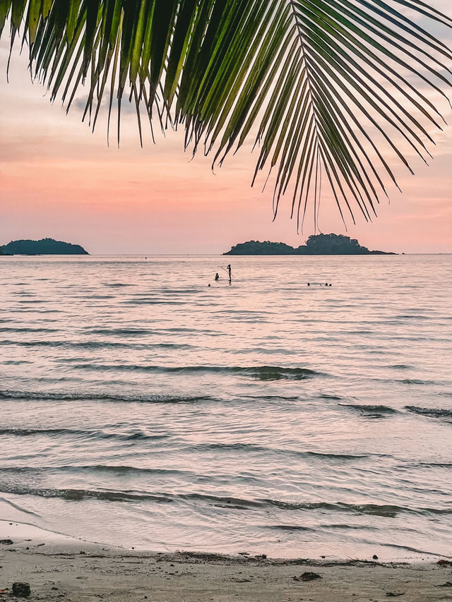 ” Centara Koh Chang Tropicana Resort “🏝️🐘