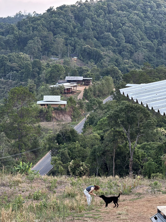 บ้านโฮมเตย์ จ.เชียงใหม่ 🏡⛰️🌧️🌳