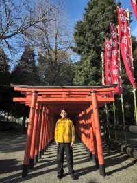 「熊本的隱世庭園一一探索水前寺公園的魅力」