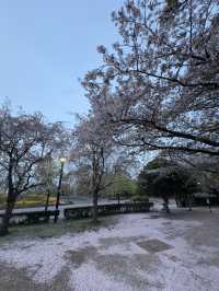 東京｜地鐵有樂町線｜金色光芒下的都市與人情之旅