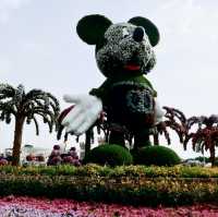 Springtime in Dubai's Miracle Garden: A Floral Wonderland