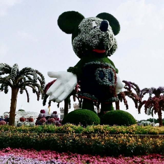 Springtime in Dubai's Miracle Garden: A Floral Wonderland