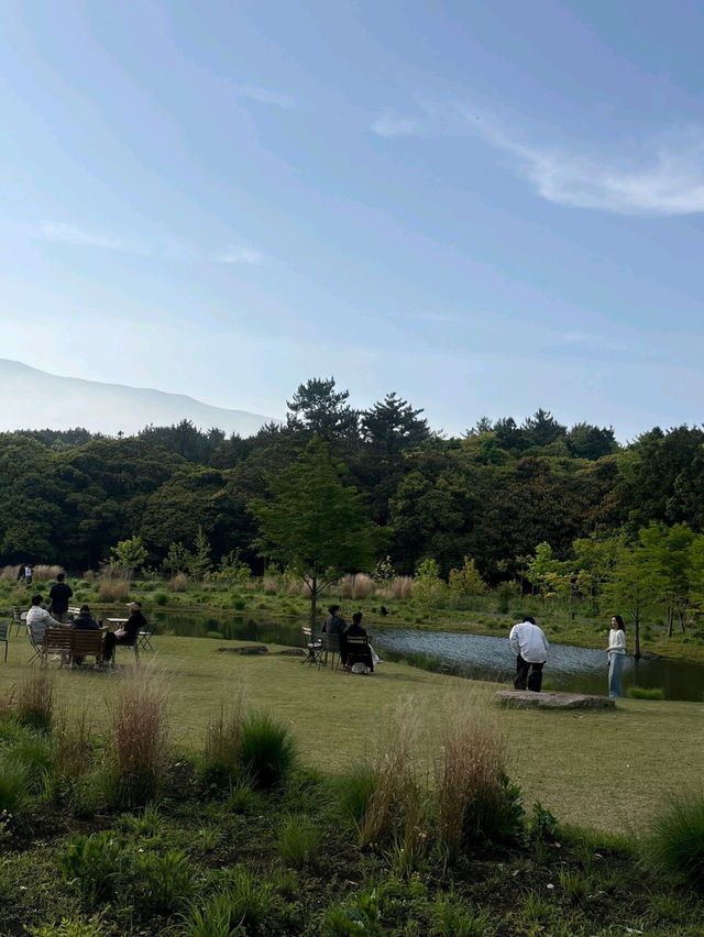 🪵제주도 서귀포 카페 <담소요> 힐링을 원한다면 무조건 추천