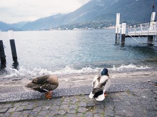 Lake Como & Bellagio Day Trip