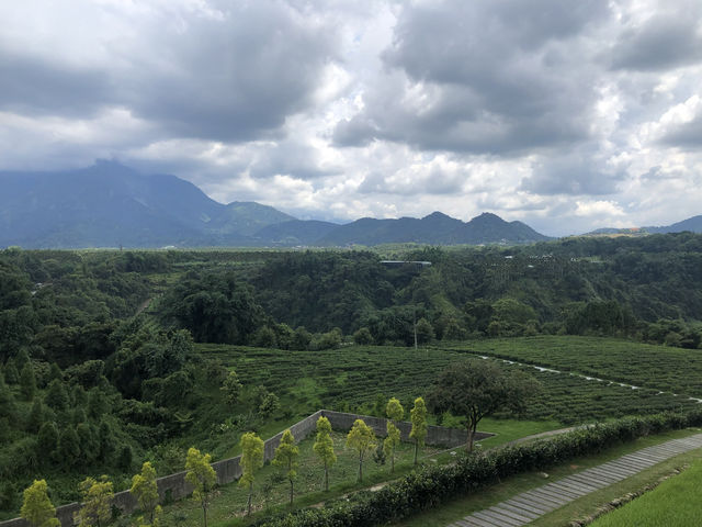 鹿篙咖啡莊園｜日月潭旁的山丘秘境，品味台灣在地咖啡與茶香 