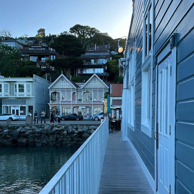 “Sausalito: Where the bay sparkles, the art flows, and life feels like a postcard.” ✨🌊⛵🎨🍷