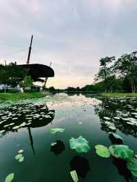 Lotus Dreams & Windy Chimes – A Hidden Gem in Cyberjaya!