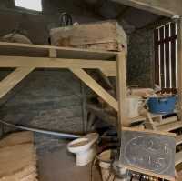 Hidden Gem during Golden Week! Shaun the Sheep Farm & English Garden