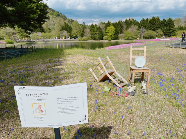 【山梨】ピンクの絨毯が一面に広がる富士芝桜