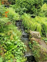 Fletcher Moss Botaical Gardens