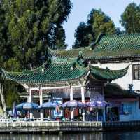 昆明大观公園🌳藏在市中心的絕美秘境！