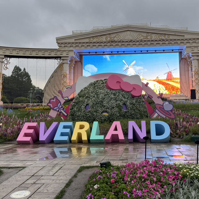 아이들이 좋아하는 산리오 축제 아이들이 좋아하는 산리오 축제