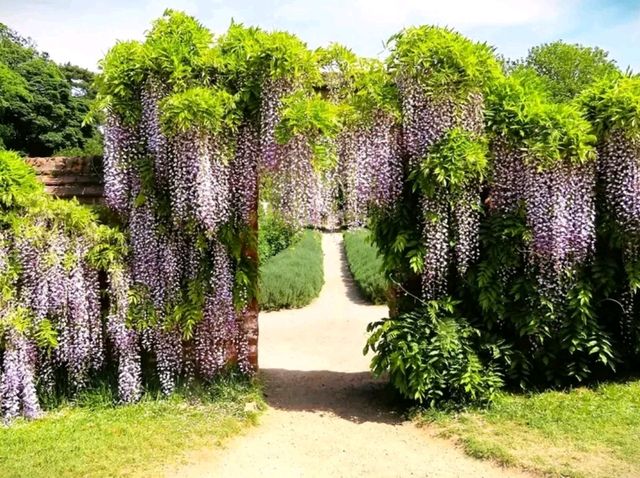 Sunshine, Secrets, and Blooms at Calke Abbey – A National Trust Gem