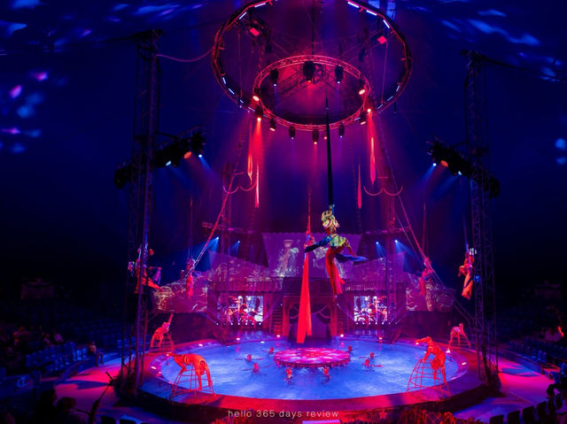 AQUA CIRCUS PHUKET - ท่องโลกปาฎิหาริย์เหนือสายน้ำ