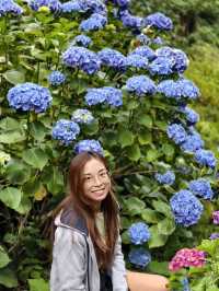 墨爾本花園