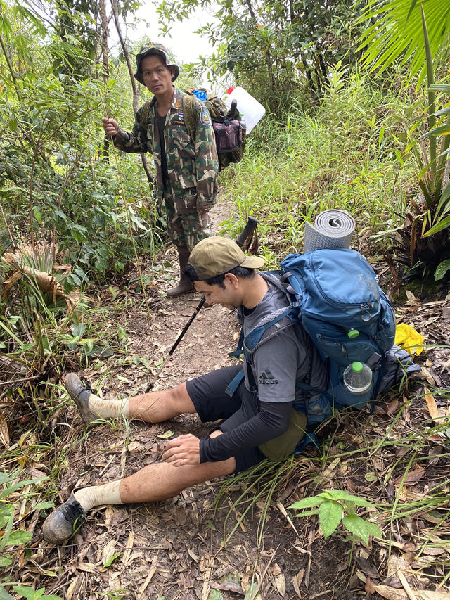 🌧️ เที่ยวหน้าฝน…พิชิตสันหนอกวัว ⛰️