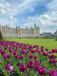 Saint-Germain-en-Laye – A Royal Town with Timeless Charm