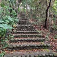 Ashizuri-Misaki Cape: A Coastal Sanctuary of Beauty and History 