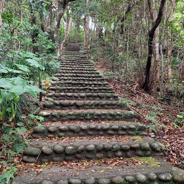 Ashizuri-Misaki Cape: A Coastal Sanctuary of Beauty and History 