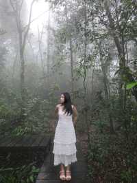 KhaoYai 🌳🍃